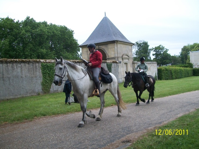 Des chevaux à Versailles Photo314
