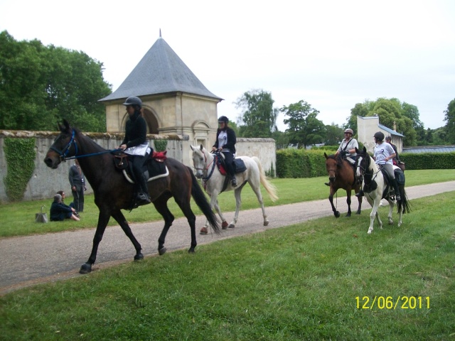 Des chevaux à Versailles Photo315