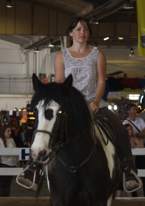 1 er  salon CHEVAL D'AZUR à Fréjus W.E. du 8 mai Img_7818