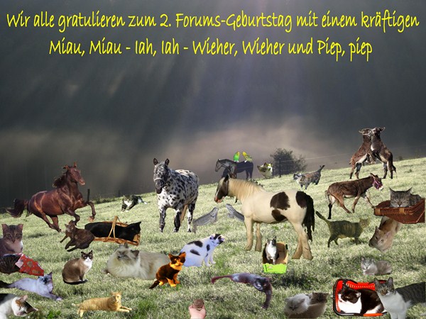 ...wir feiern heute unseren 2. Forumsgeburtstag Herzli12