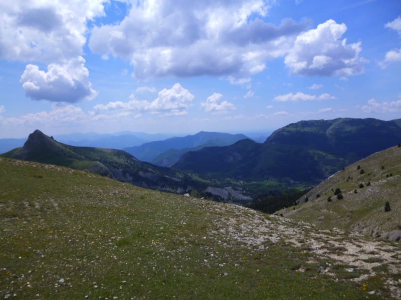 Tour des Monges (04) Tour_d43