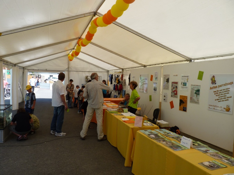 Un Dimanche de fête à CHAVORNAY P1000517