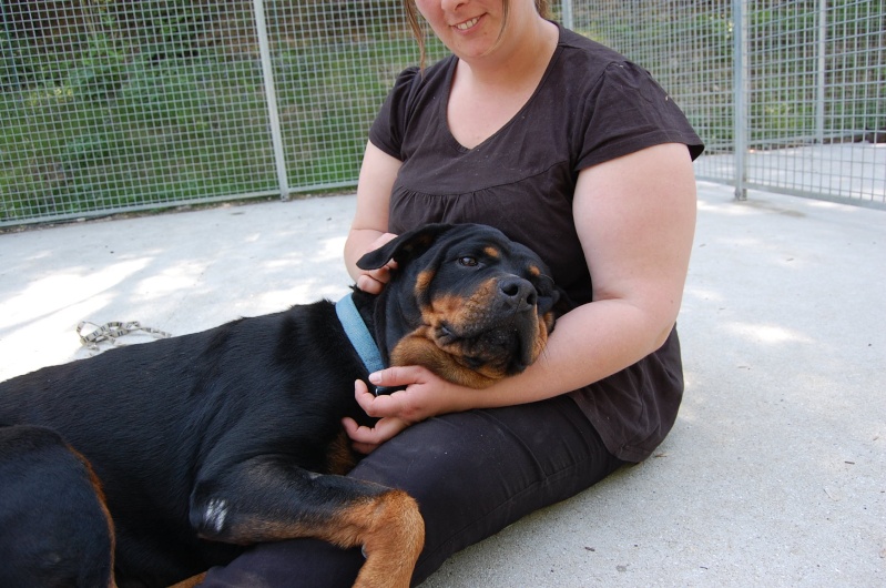 Roxanne, rott 5 ans en total délaissement (Oise) Dsc_0546