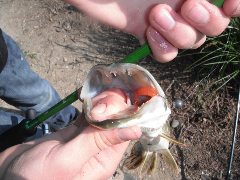 VOTRE PECHE DE MAI Dscf2313