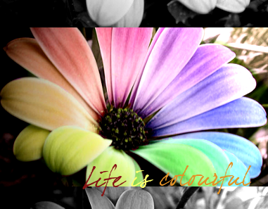 Life is colourful Abc44