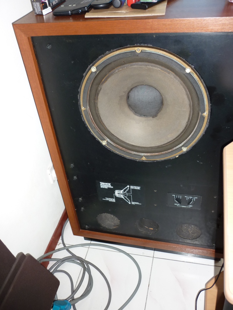 Tannoy Arden 15" speaker (sold) P1000811