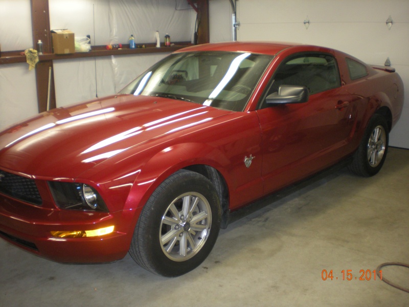 my new mustang! Bird_011