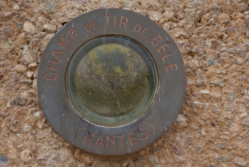 Carrière des Fusillés, Châteaubriant (44) Dsc05315