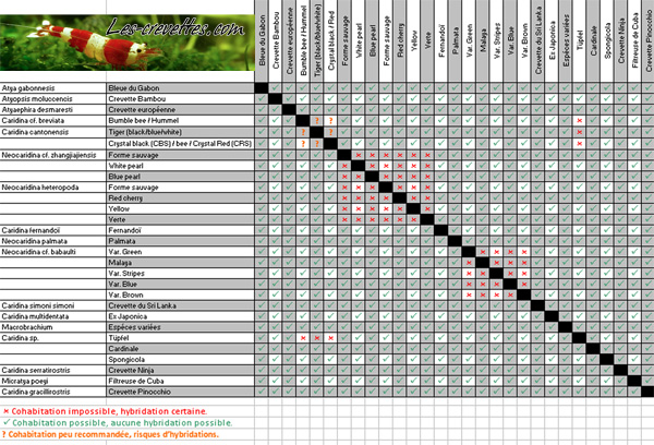 hybridation - tableau d'hybridation des crevettes Hybrid10