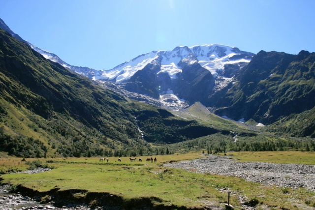 sorties rando-trail sur le Massif du Mt Blanc Chalet10