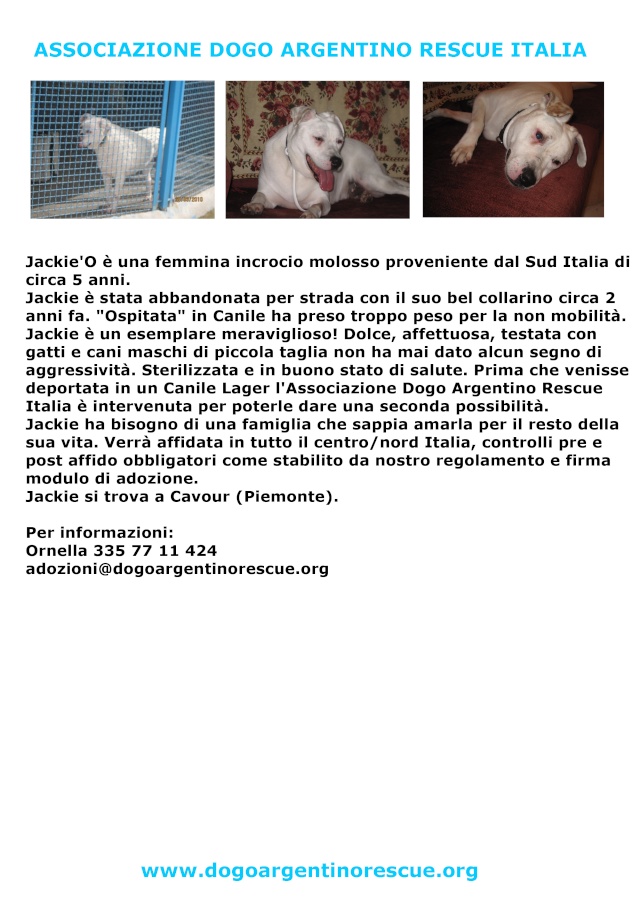 JACKIE'O: incrocio molosso 4/5 anni CERCA CASA! (appello di settembre 2010) Appell19