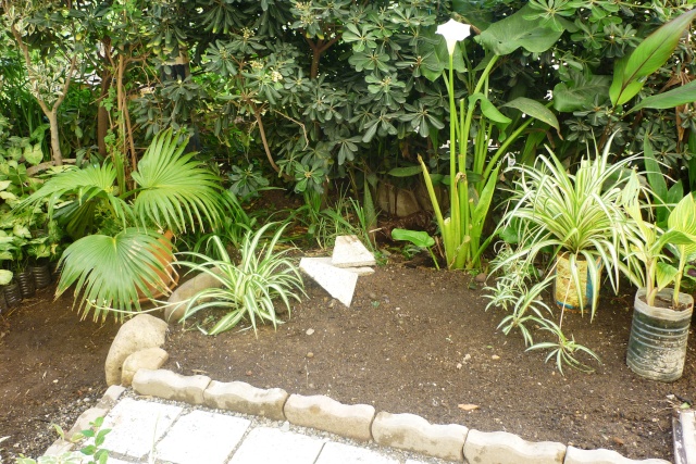 travaux au jardin - Page 2 P1020321