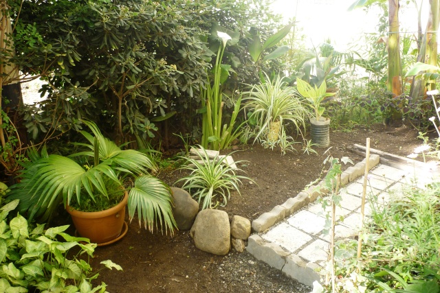 travaux au jardin - Page 2 P1020322