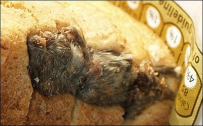 [beuuurk ] Un pain fourré à la souris lui rapporte 30'000 francs suisses Topele10