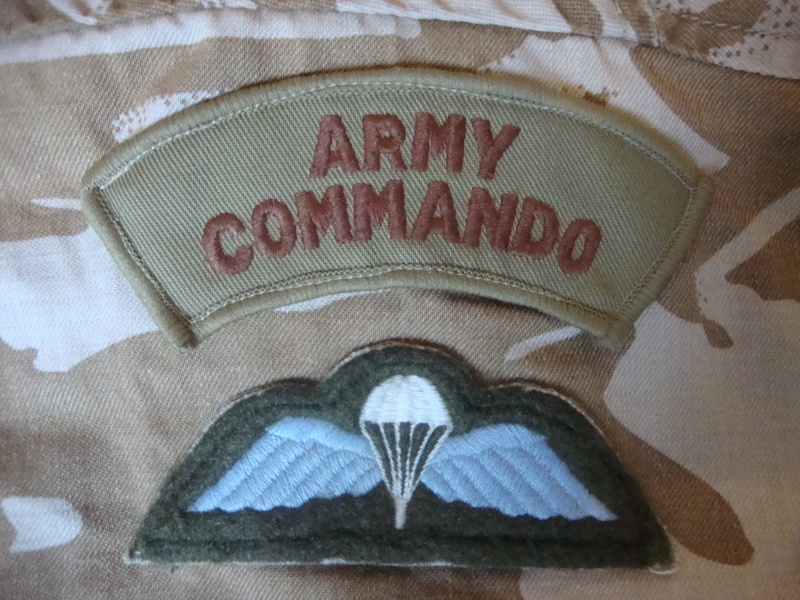 29 Commando Regiment Royal Artillery Jacket. Dsc03341