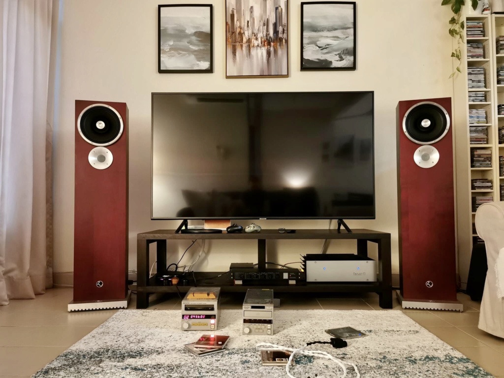Zu Audio Druid V floorstand speaker (used) Fa994110