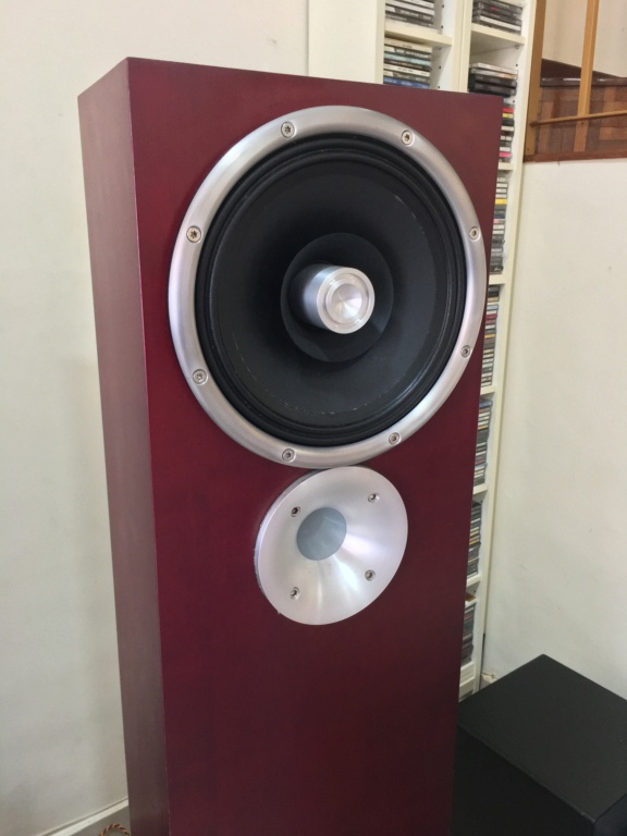 Zu Audio Druid MkV floorstand speaker (used) Img_3410