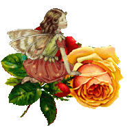 Baci di sogno Baci di sogno
