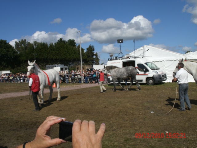 La foire de Lessay 00110