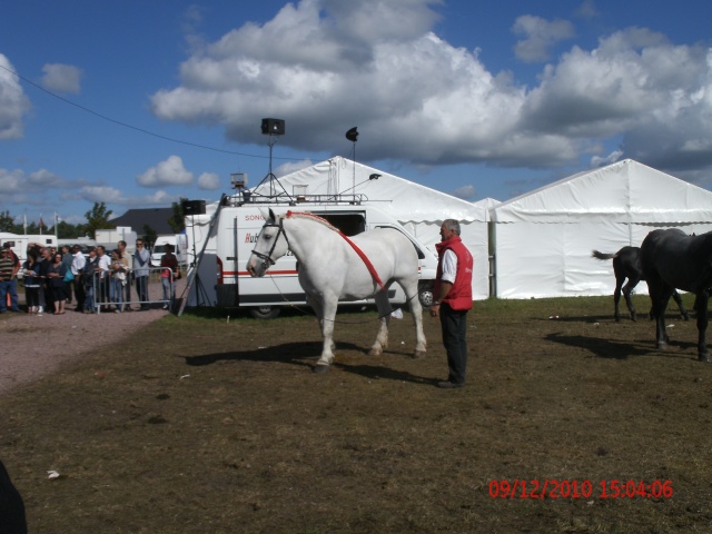 La foire de Lessay 00510