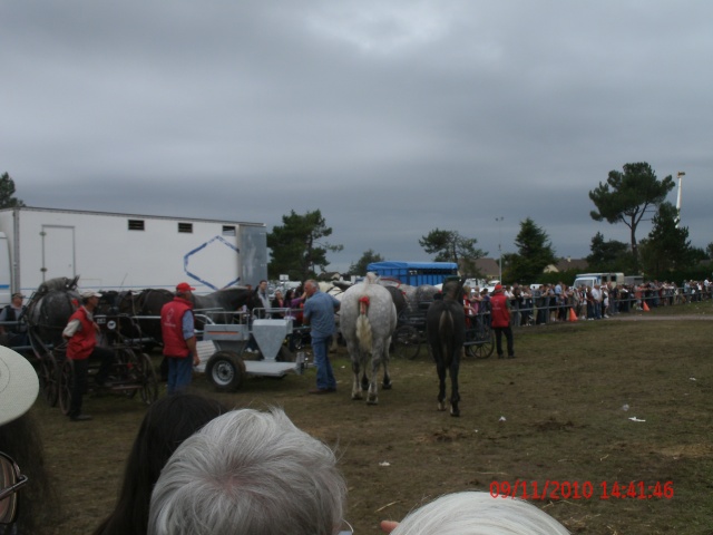 La foire de Lessay 01512