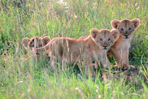 Kenya Nairobi National Park news New-ar11