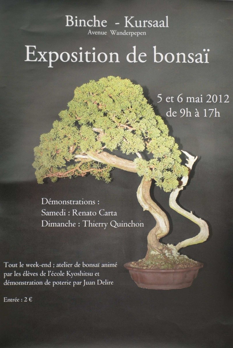 expo à Binche les 5 et 6 mai 2012 Binche10