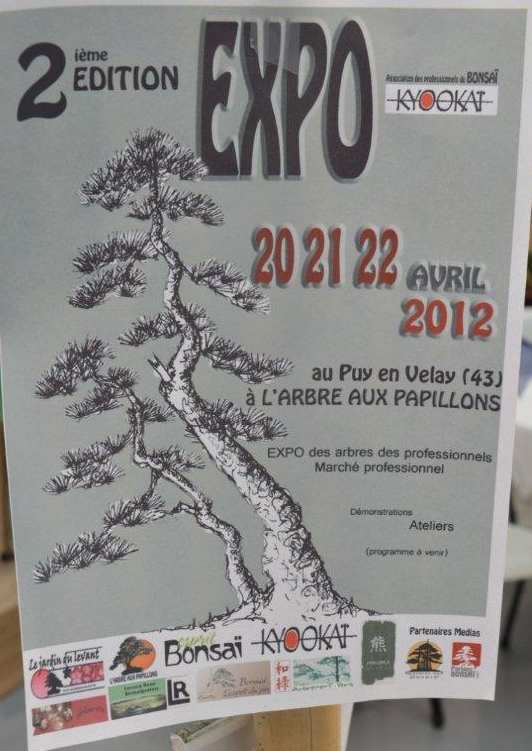 exposition au puy en Velay (43)20-21-22 avril 2012 Pap10