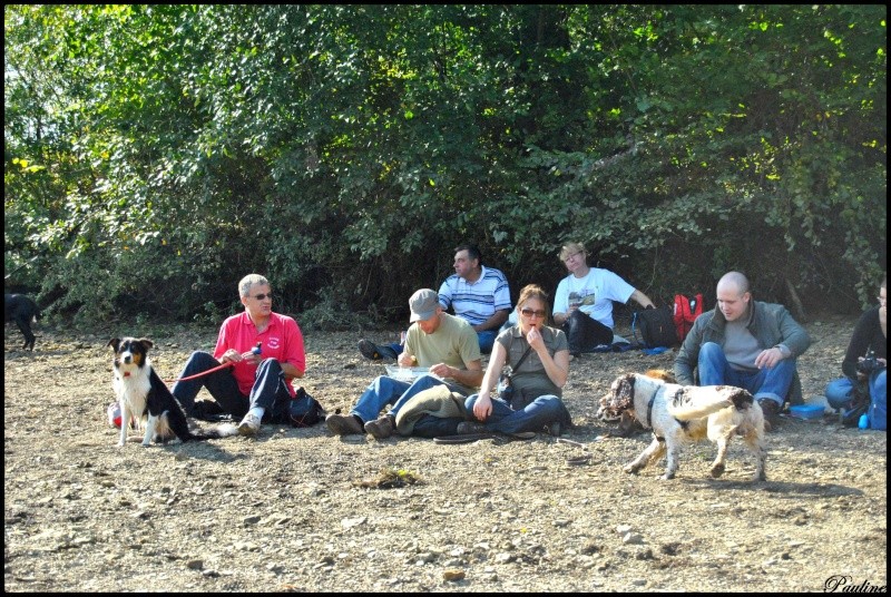 ballade en Belgique avec Taty, Tika, Malilou04, Bonnie, Kaloo, Max, vero24be et Bertrand Dsc_0759