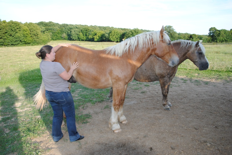 15, Apache, trait comtois, sauvé par Mathibenty (2010) Partie *** - Page 10 Dsc_0020