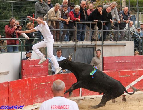 Finale de Ligue  Saint Géniès des Mourgues  16-10-2010 Finale52