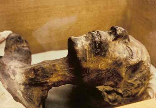 67 سنة تكشف رمسيس الثاني فرعون موسى 800px-10