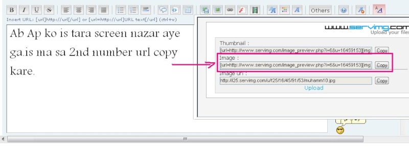 How New Member Can Add Picture in post.. See it 5_bmp11