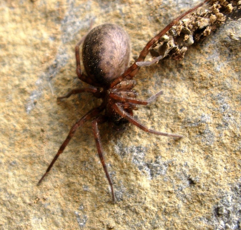 un petit bugging dans la région des etchemin 01012