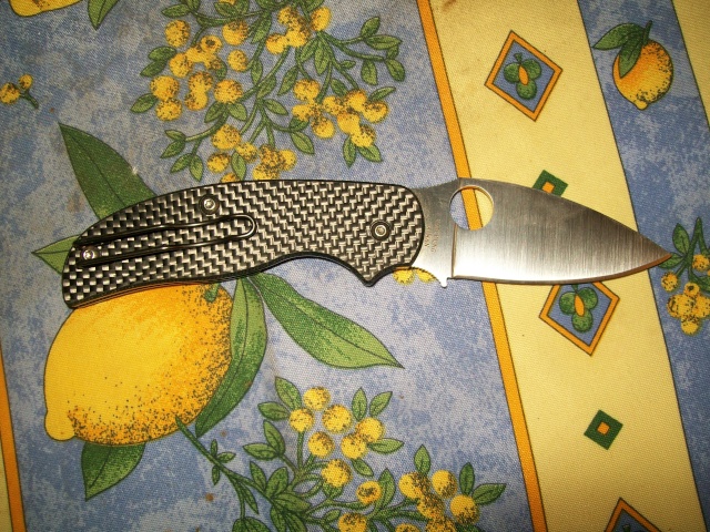 EDC de rometele Rien_010
