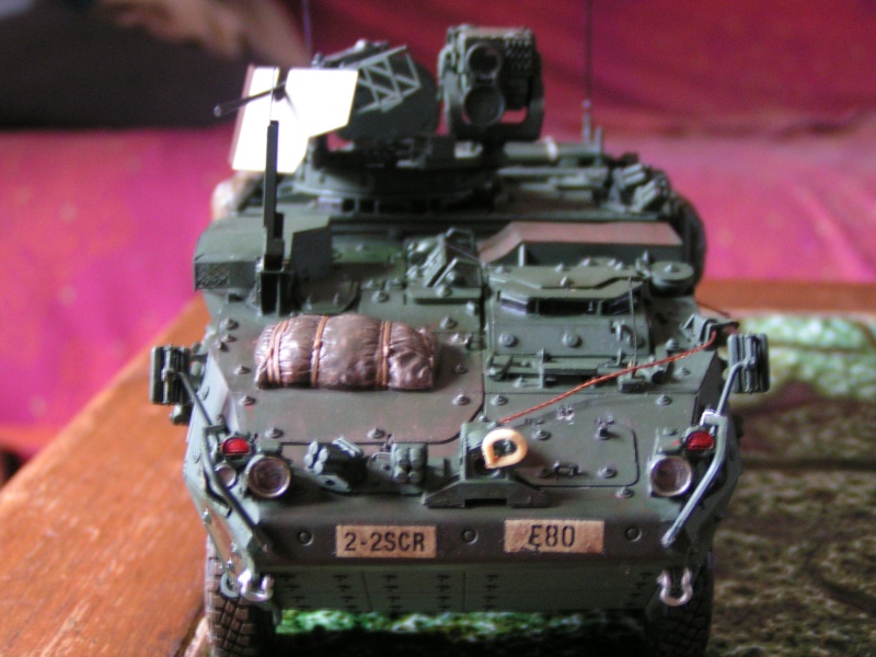 (blackbird)  M 1131 FIRE SUPPORT termine  - Page 2 Pict3421