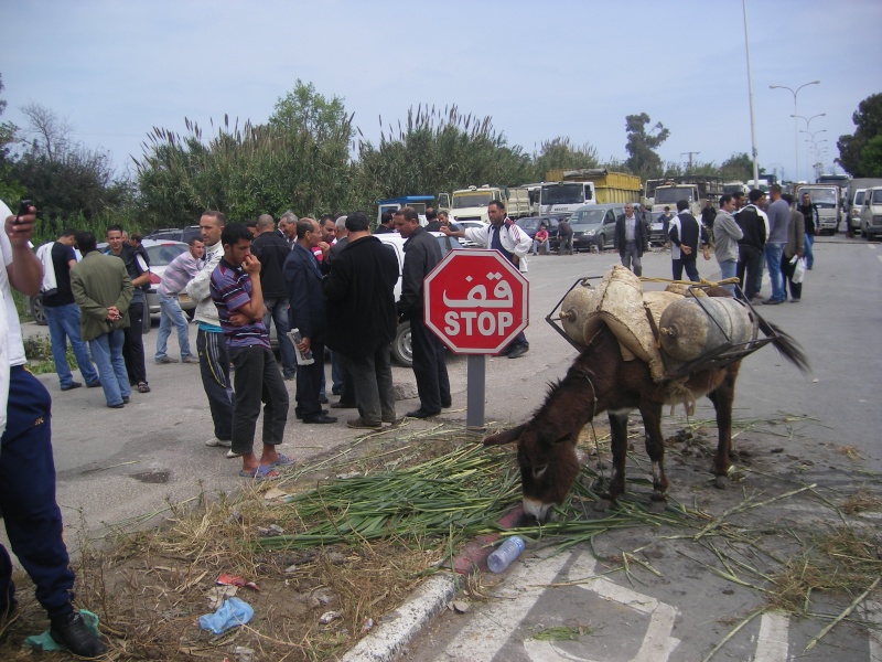 Boukhelifa : la RN9 coupée par les habitants de Djebira 24/04/2011  Imgp2415