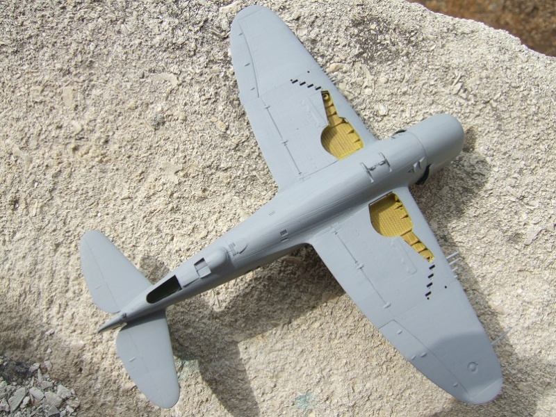 P47D Thunderbolt - [Revell] 1/72 Dscf2713