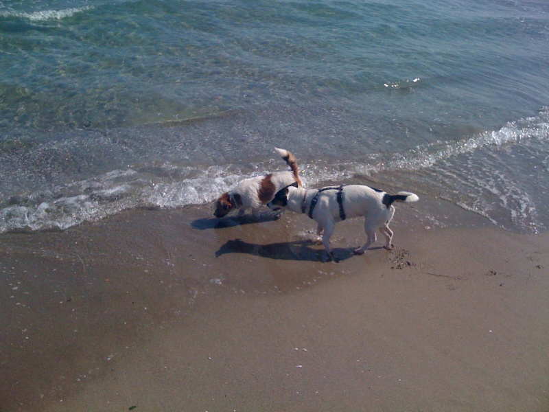 Incontro in spiaggia Immagi17