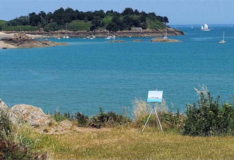 L'île des Ebihens depuis Saint Jacut Chevet10