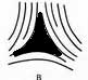 The TRIRADIUS in a fingerprint: how it develops, it's characteristics + a definition! - Page 13 Penros10