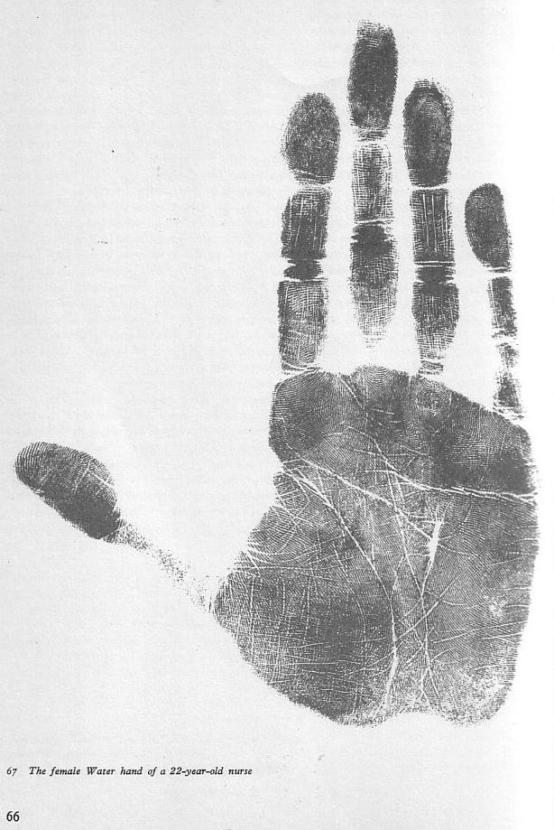 examples of handshapes & lines by width Water_10