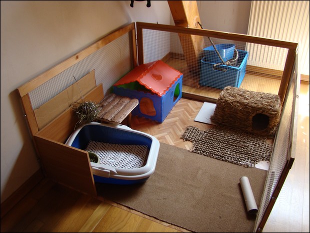 Habitation des lapins : exemples de cages, enclos ... - Page 19 Dsc08510