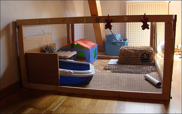 Habitation des lapins : exemples de cages, enclos ... - Page 19 Dsc08511
