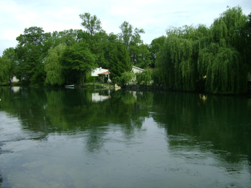 PHOTO balade 1er mai - au bord de la Charente et de ses coteaux - Page 2 Cognac14