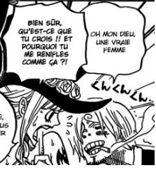 One Piece 110