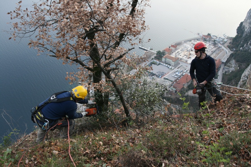 foto - Foto delle nostre motoseghe da lavoro - Pagina 3 Img_7612