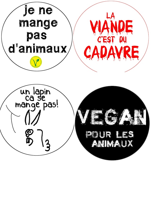 Badges AnimalAmnistie Sans_t10