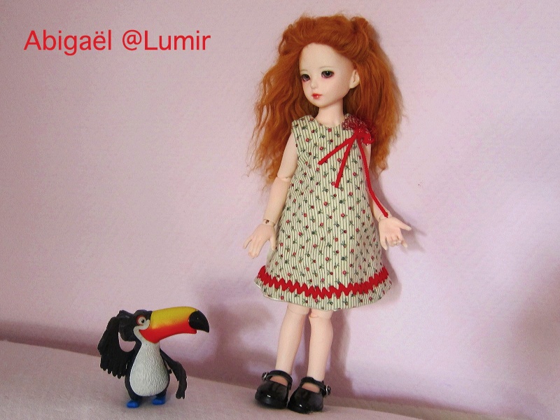 Couture de Lumir (Pour Narsha, Pocket Fairy et Momoko) Img_0615