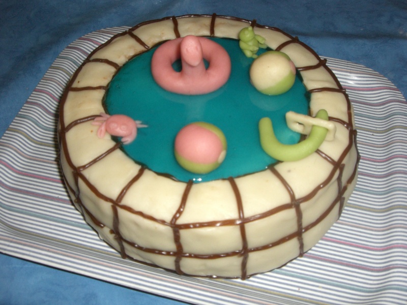 Piscine Page 2